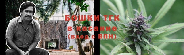 дживик Инсар