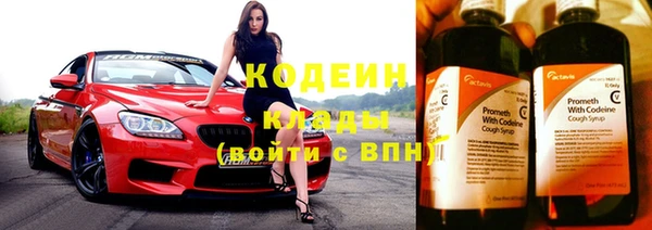 спиды Богданович