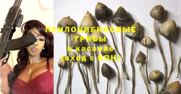 дурь Киренск