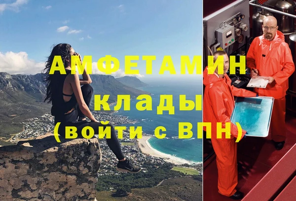спиды Богданович