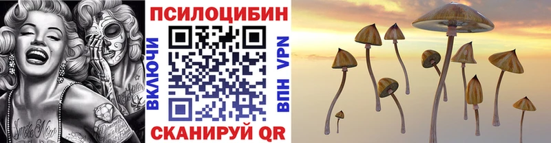 Псилоцибиновые грибы MAGIC MUSHROOMS купить наркотики сайты Теберда